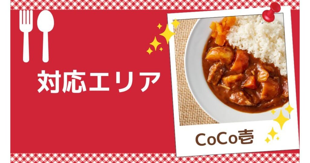 cocoichi-delivery-service-summary