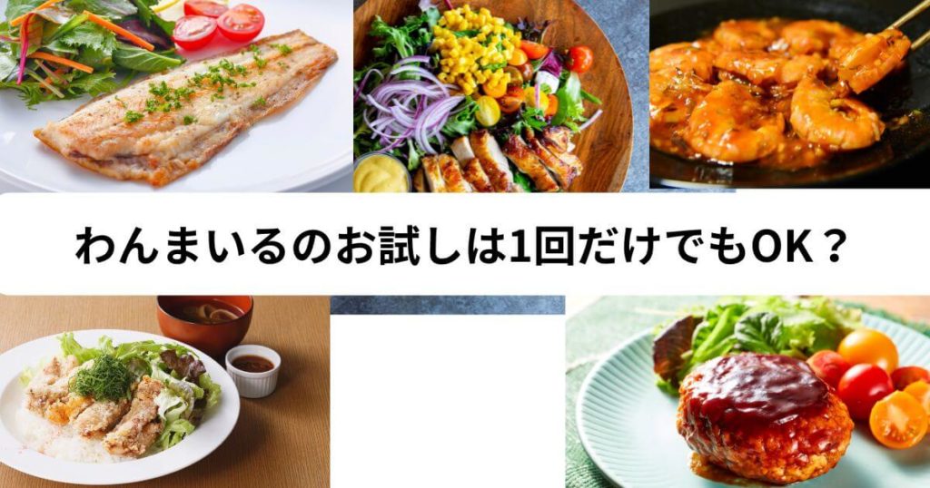 わんまいるのお試しは1回だけでもOK?「解約縛り」や「自動更新」について