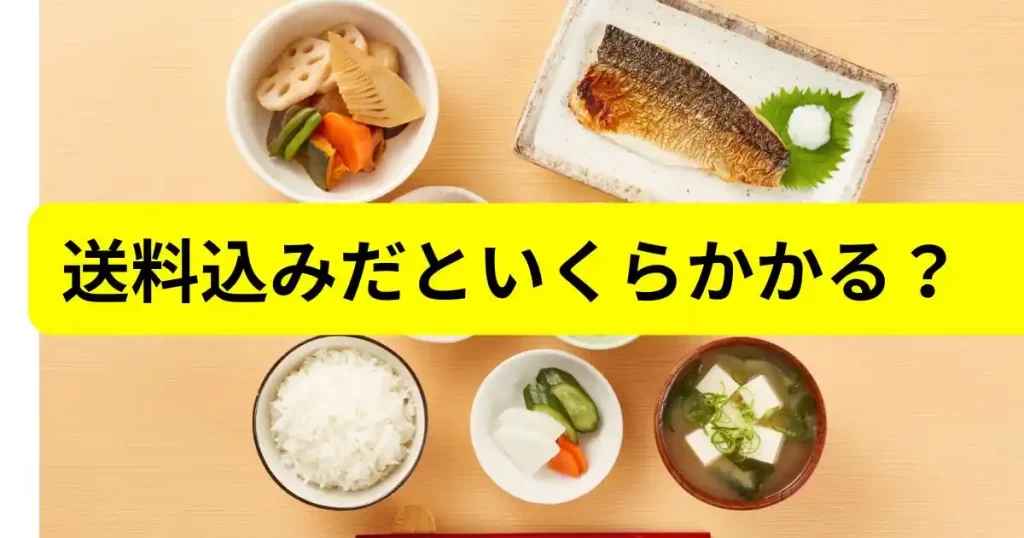 ナッシュのお試しは送料込みだと実際いくらかかる？