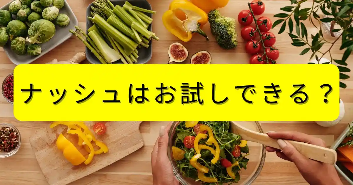 ナッシュはお試しできる？1回だけ注文する方法と3つの注意点を徹底解説