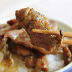 【なにかと話題の楽天セールで購入～その2】　宮崎名物料理　赤鶏炭火焼