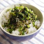 【シャッキシャキの歯ごたえをご堪能】広島県　なだやの「広島菜ちりめん」