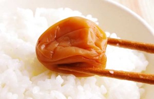 【極上の梅を食べ比べ】和歌山県"岡畑農園"の食べ比べ4種セット、「幻の梅」