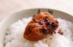 【極上の梅を食べ比べ第2回】和歌山県”岡畑農園”の食べ比べ4種セット、「かつお風味味小町」