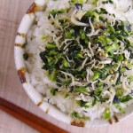 【安定感も日本一!!】兵庫県 澤田食品の生ふりかけ「野沢菜ちりめん」