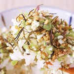 【ちゃんとゆずこしょうの味がします】熊本県"フタバ"の「ゆずこしょうふりかけ」