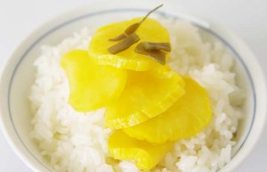 【"This is Takuan" 外国の方へのお土産にも!!】宮崎県"道本食品"の「たくあん　こんぶ味」