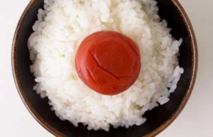 【梅干しはすっぱくないと！！】和歌山県"不動のうめ"の「しそ漬南高梅」