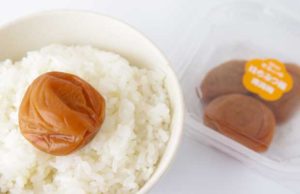 【すっぱいのもいいけど、やっぱり甘いのもいい!!】和歌山県"不動のうめ"の「はちみつ梅 南高梅」