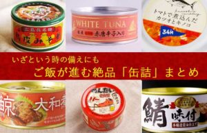 【いざという時の備えにも】ご飯が進む絶品「缶詰」　まとめ