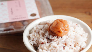 【塩分控えめで食べやすい】和歌山県”なかた”の「紀州完熟南高梅 しらら」
